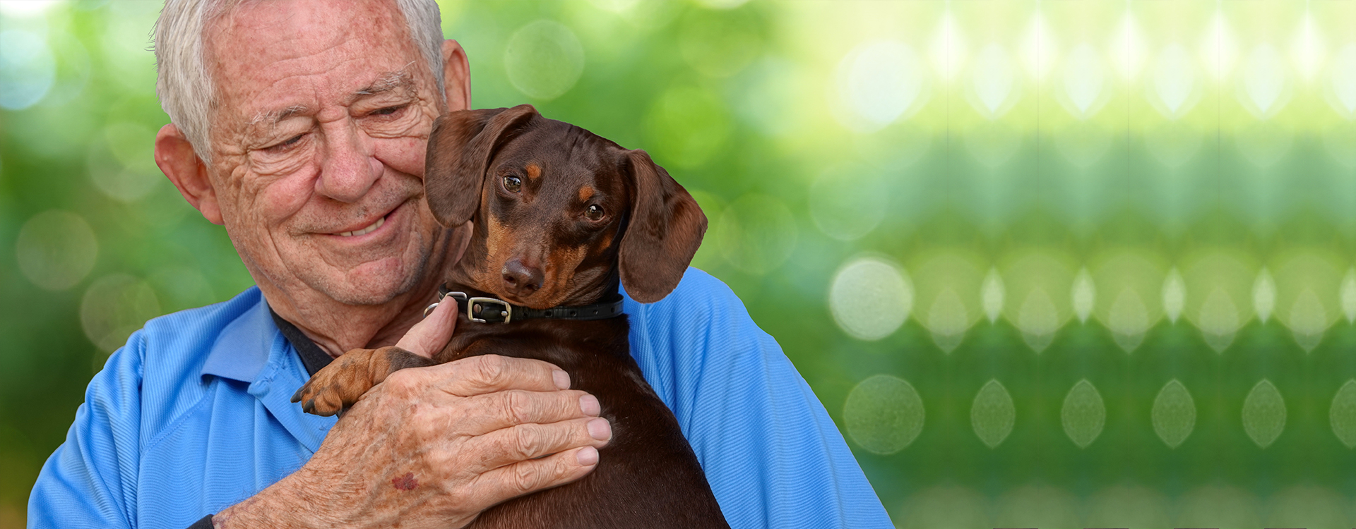 puppy, for, sale, puppies, forsale, locate, breeder, pups, dog, dogs, adoption, nearme, breed, breeds, kennel, puppy-for-sale, healthy, cute, aca, ica, american, canine, association, international, pictures, banner-3